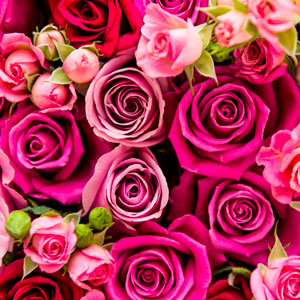 Valentine Day Waco