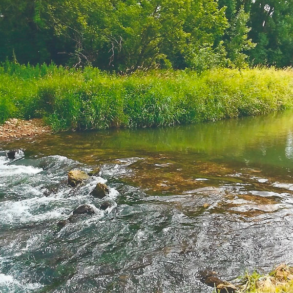 Whisey Creek 1