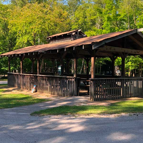 Wilderness 1